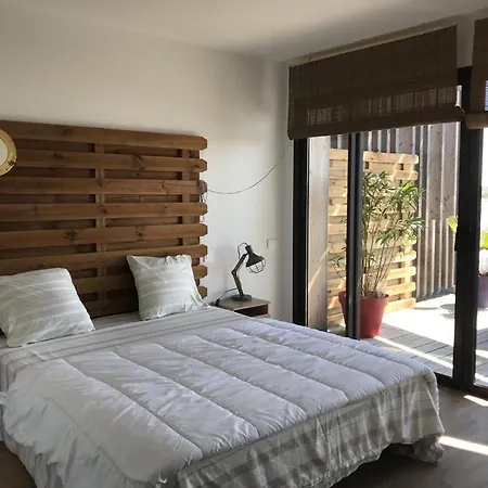 T3 Wifi Les Perles De L Aiguillon Vue Bassin 1ère Ligne 4 à 6 Personnes Appartement