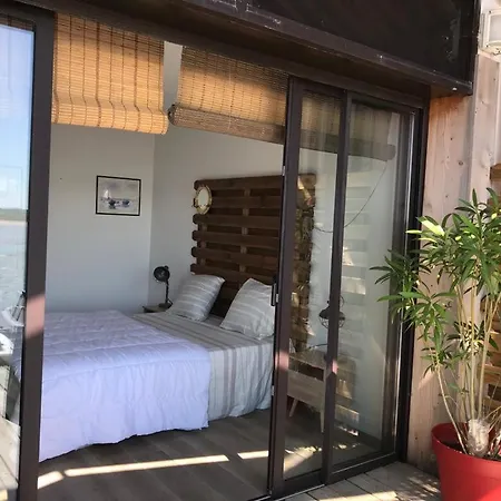 T3 Wifi Les Perles De L Aiguillon Vue Bassin 1ère Ligne 4 à 6 Personnes