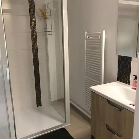 T3 Wifi Les Perles De L Aiguillon Vue Bassin 1ère Ligne 4 à 6 Personnes