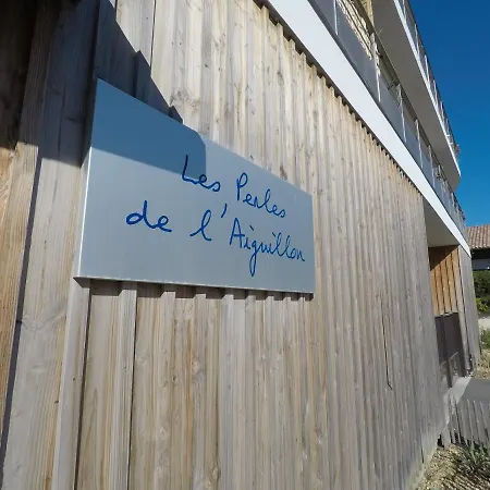 T3 Wifi Les Perles De L Aiguillon Vue Bassin 1ere Ligne 4 A 6 Personnes * Arcachon