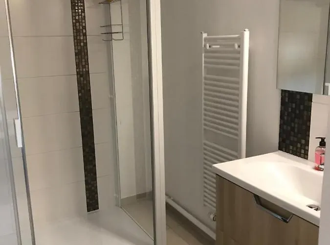 T3 Wifi Les Perles De L Aiguillon Vue Bassin 1ere Ligne 4 A 6 Personnes